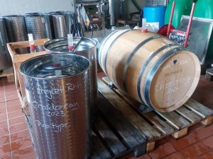 Weinfachschule_2024_11