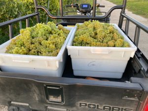 Weinfachschule_2024_2