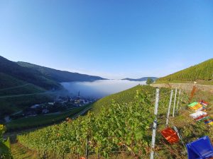 Weinfachschule_2024_4