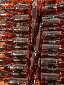 WhatsApp Image 2026-02-02 at 14.45.44